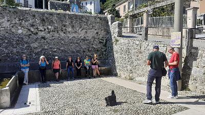 Voci nel Bosco (2)